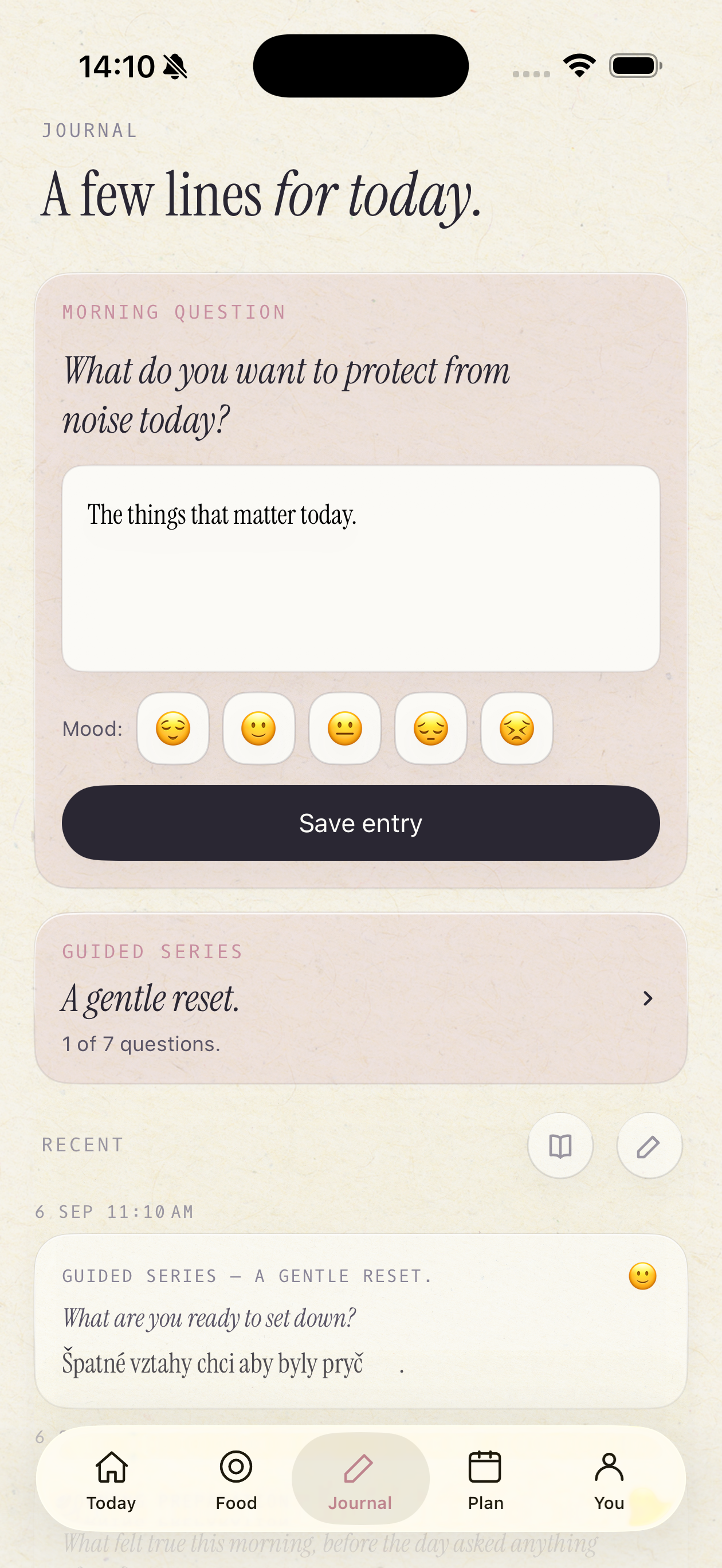 Journal screen
